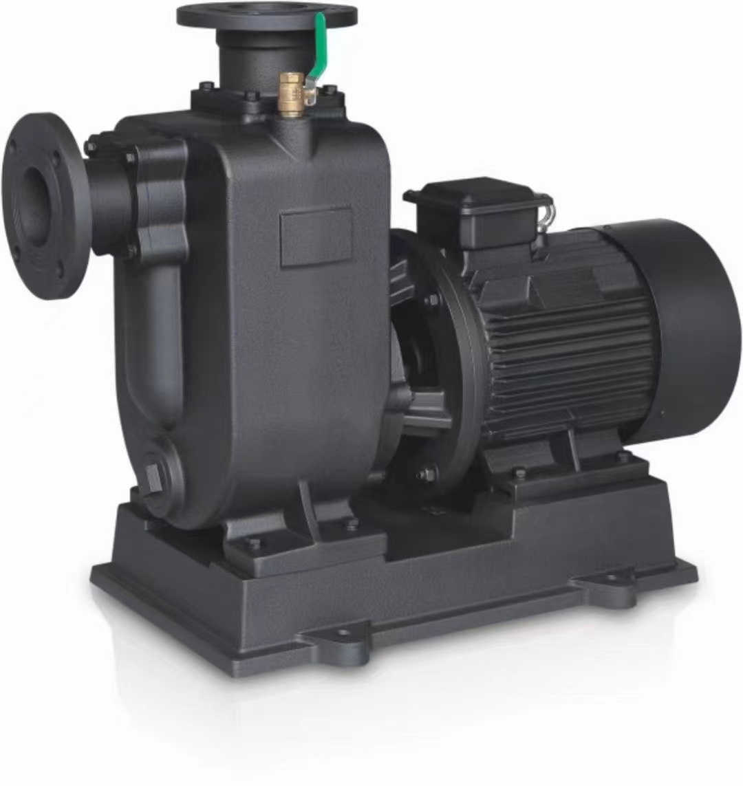 微信圖片_20240530120421